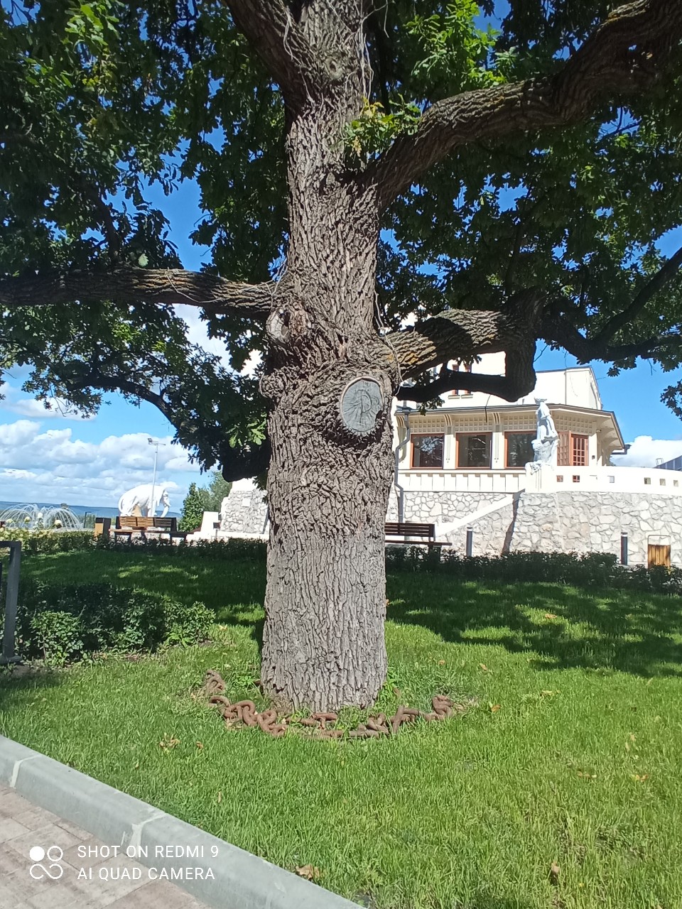 Артём Иващенко в LOOKY — фото 1
