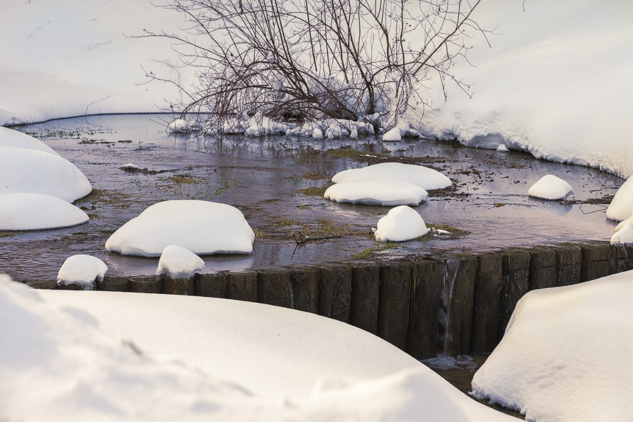 poboruev_landscape в LOOKY — фото 2