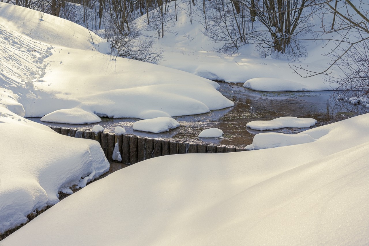 poboruev_landscape в LOOKY. #природа,#весна,#ручей,#ручеёк,#речка,#плотина,#снег,#вода,#фотоприроды,#природноефото. Побежали ручейки! 🏞...