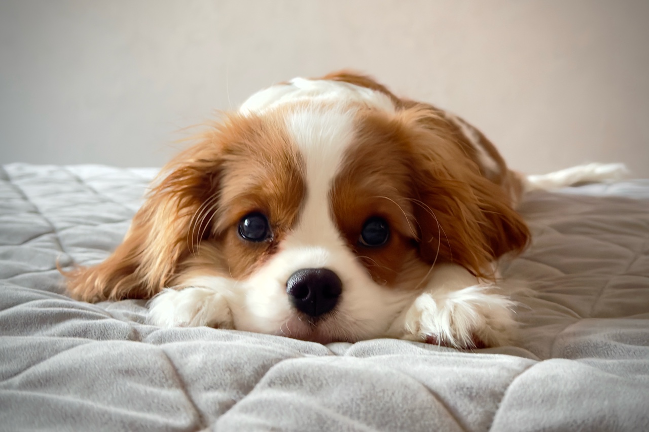 Светлана в LOOKY. . 