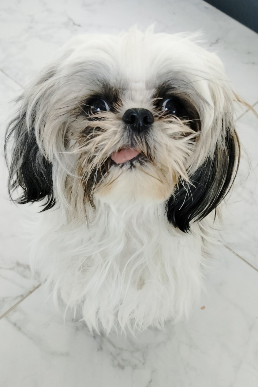 Vladova Tatiana в LOOKY. . 