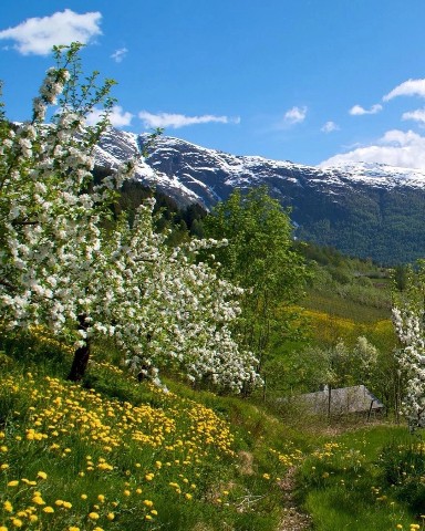 Wonderful World в LOOKY. #мир,#эстетика,#LOOKY_контент,#recomended,#fyp,#природа,#вид,#world,#top,#топ,#looky_looks,#sub,#подпишись,#ЛАЙК,#like,#foryou. Ульвик, Норвегия #ми...