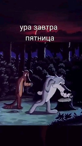 ВОЛК СЕРЫЙ в LOOKY — публикация