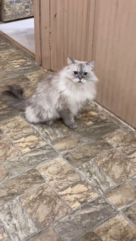 taik19.12.19 в LOOKY. . Притесняют😾