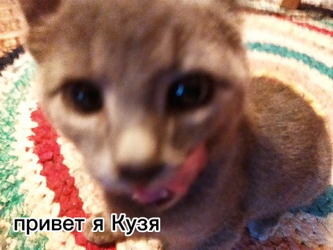 Looky_176527367785201 в LOOKY. . 