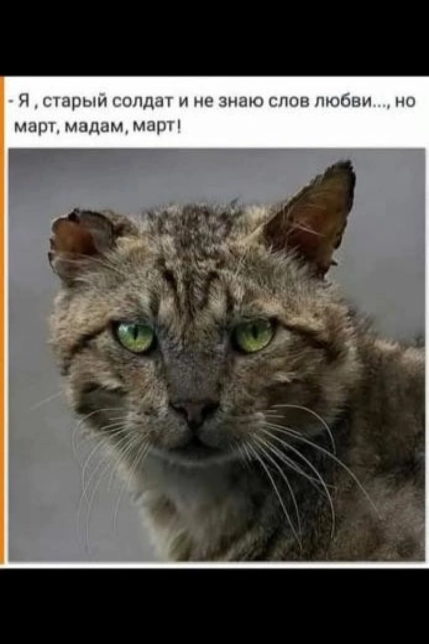 Алекс1958 в LOOKY — публикация
