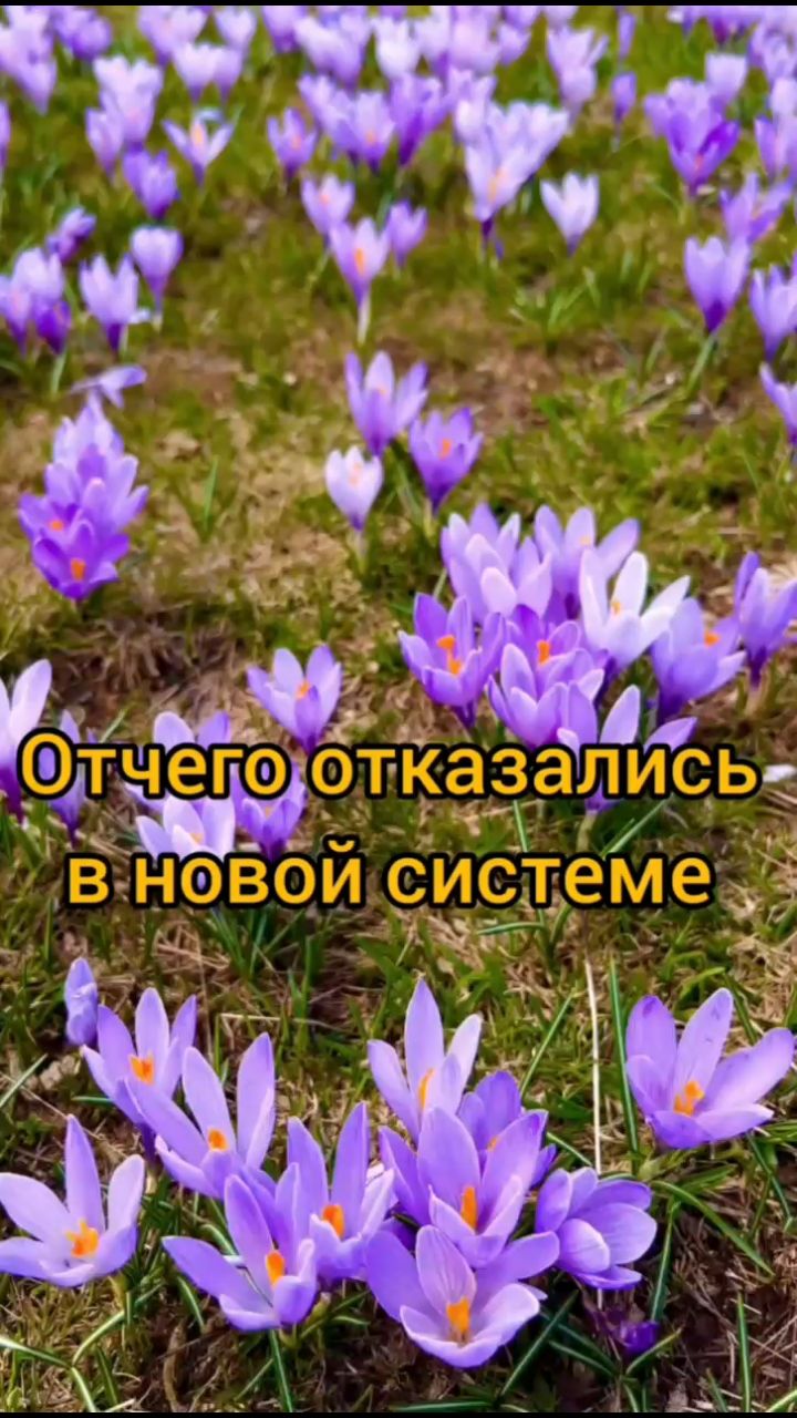 Ольга Аникина в LOOKY. #работа,,#подработка,,#удаленнаяработа,,#удаленно,,#доход,,#интернет. проект Step Up 
#раб...