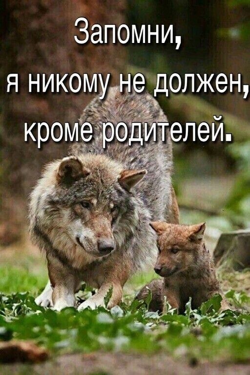  в LOOKY — публикация