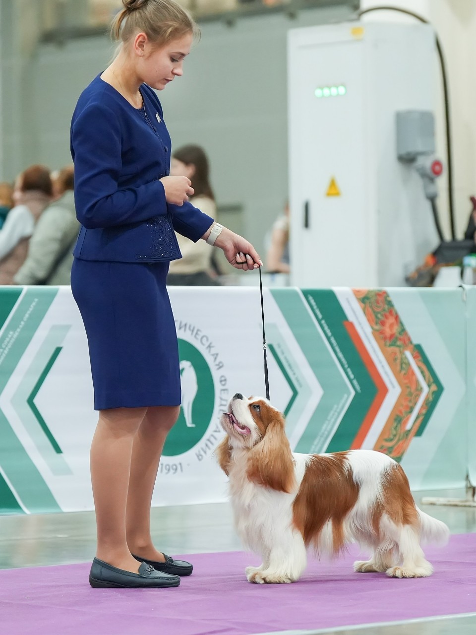 puppengame в LOOKY. #ККЧС,#кавалер,#ркф,#выставка,#евразия. #ККЧС #кавалер #ркф ...