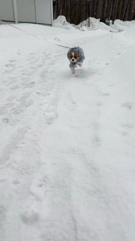 Светлана в LOOKY. . 