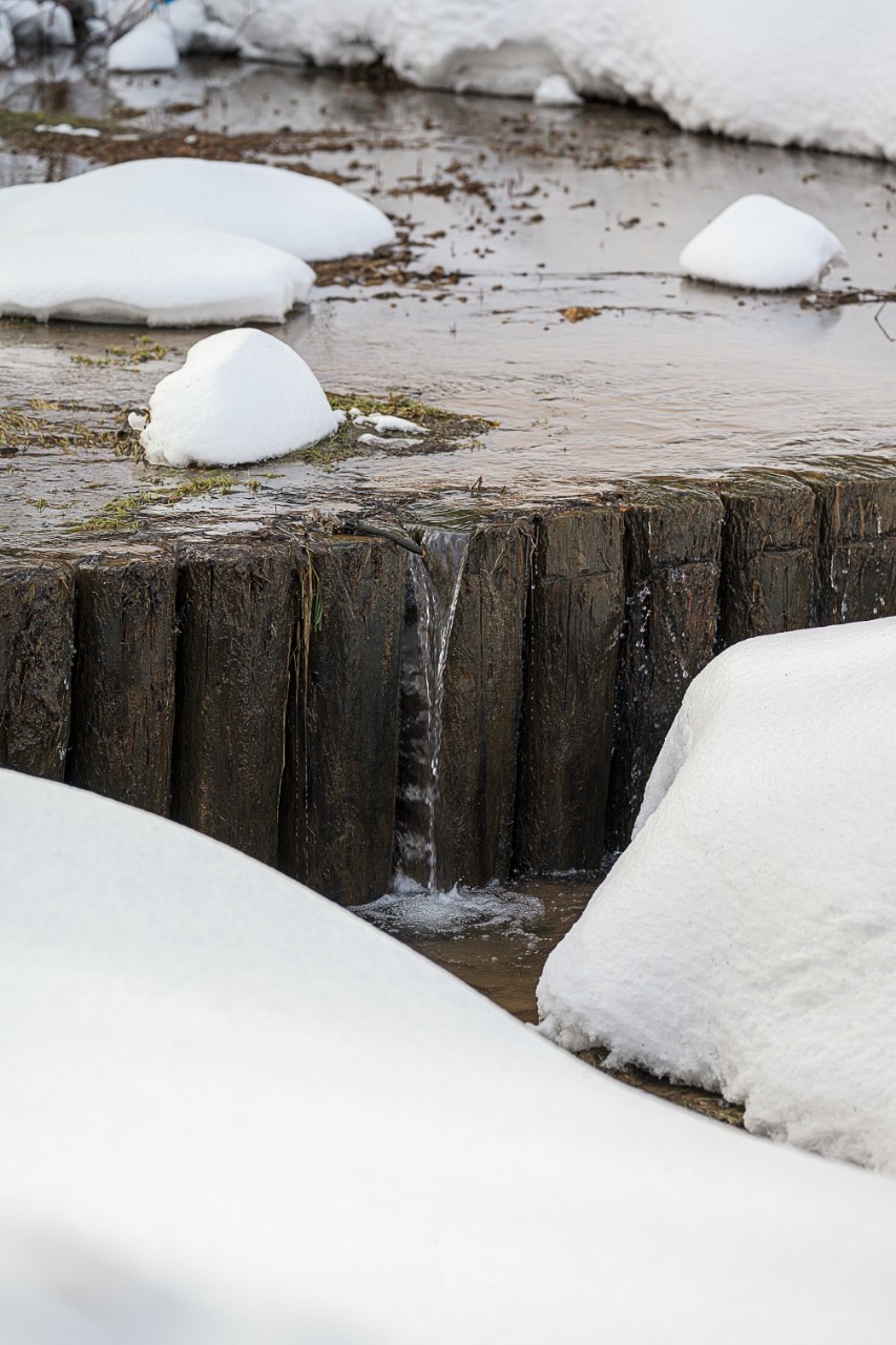 poboruev_landscape в LOOKY. #природа,#весна,#ручей,#плотина,#запруда,#речка,#снег,#вода. Весеннее настроение ...