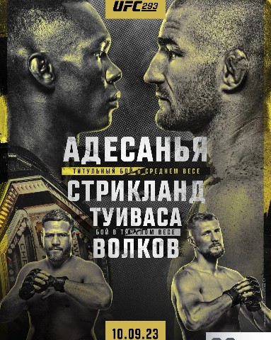 мма в LOOKY. #UFC293. #UFC293 Австралия♥️