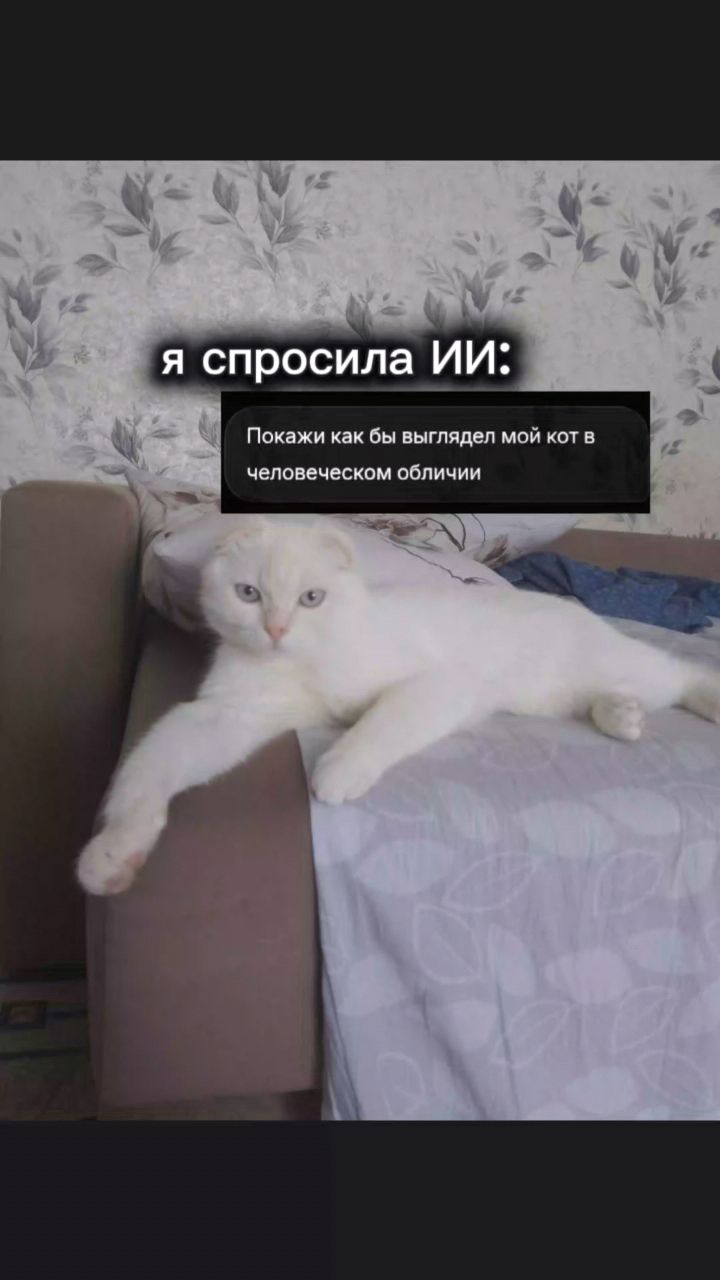 __cherepanovaaa__ в LOOKY. . 🤭 [#кот ](кот)[#юмо...