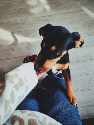 Татьяна Петрова в LOOKY. . 🐶❤️