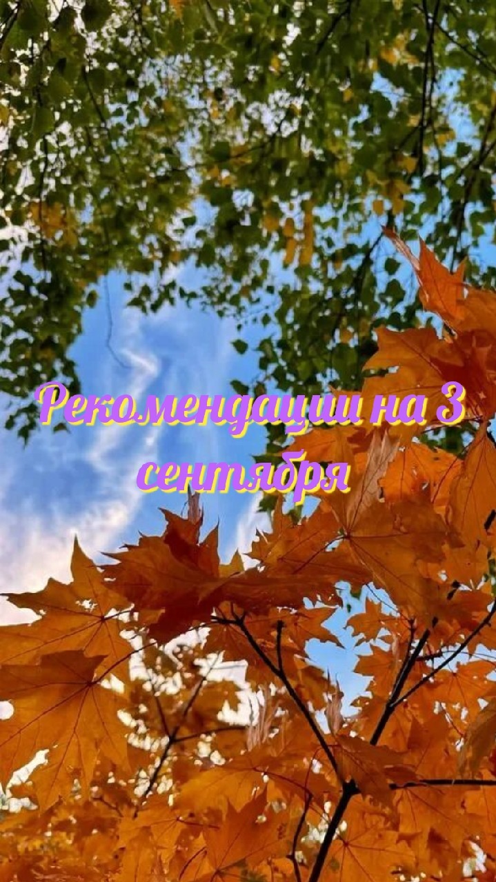 3 сентября: что можно и чего нельзя делать в этот день 

03.09.2026 → 3+0+9+2+0+2+6 = 22 → 2+2 = 4.

🌱 Общая энергия дня (Число 4)
Это день структуры, дисциплины и порядка. Хаос и спонтанность сегодня противопоказаны. Энергия требует четкого плана, практичности и ответственного подхода к каждой мелочи. Лозунг дня: «Сделано — значит проверено».

❤️ Любовь и отношения
Идеальное время для серьезных разговоров и бытового уюта. Романтика сегодня — это не букеты, а помощь по дому и стабильность. Если есть недопонимание, решайте его спокойно, по фактам. Для одиноких: высока вероятность встретить партнера через работу или по совету старших.

💰 Карьера и финансы
Отличный день для завершения старых проектов и сдачи отчетов. Не беритесь за новое — это рискованно. Финансовый успех придет через трудолюбие, а не через авантюры. Контролируйте бюджет: крупные траты лучше отложить.

⚡️ Здоровье и энергия
Организм нуждается в режиме. Возможна тяжесть в теле из-за накопленной усталости. Показаны: прогулка пешком, контрастный душ и отказ от тяжелой пищи. Сегодня полезно заняться костями и суставами — сходите на массаж или сделайте гимнастику.

⭐️ Итог дня: Не гонитесь за скоростью. Качественно сделайте одну важную вещь — и этого будет достаточно для больших перемен в будущем.

Хотите, чтобы я сделала индивидуальный разбор по вашей дате рождения? Напишите мне.

#нумерологическийпрогноз #нумерология #прогнознадень