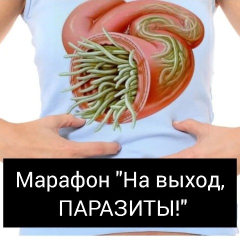 НАТАЛЬЯ  MANEKI NEKO в LOOKY. . ‼️15 апреля стартует...