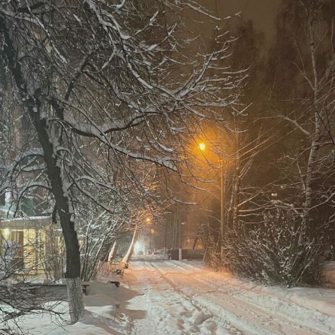 Артём Скарлупкин в LOOKY. . Тихий зимний вечер ❄