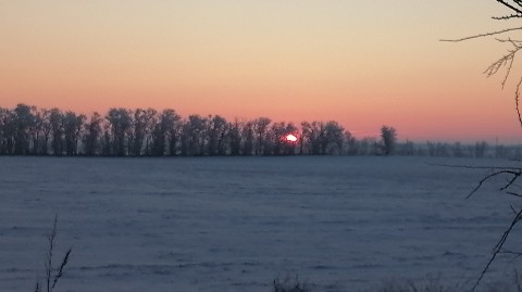 Looky_1699506495914 в LOOKY. . Рассвет...