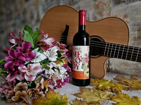 mihaguitarist в LOOKY. #lag#guitars#nylon#wine#fall#flowers#гитара#вино#осень#букет#цветы. Снова в эфире рубрик...