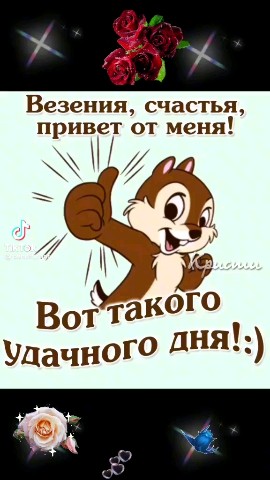 в LOOKY — публикация