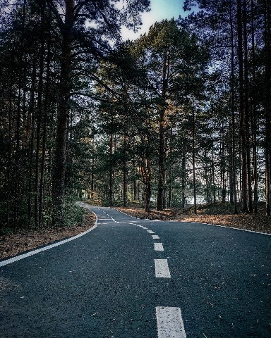 Olga в LOOKY. . [#road](road) [#fore...