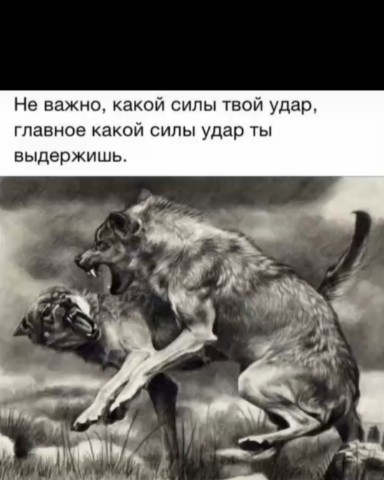 timyr.aleksandrov.78 в LOOKY. . 