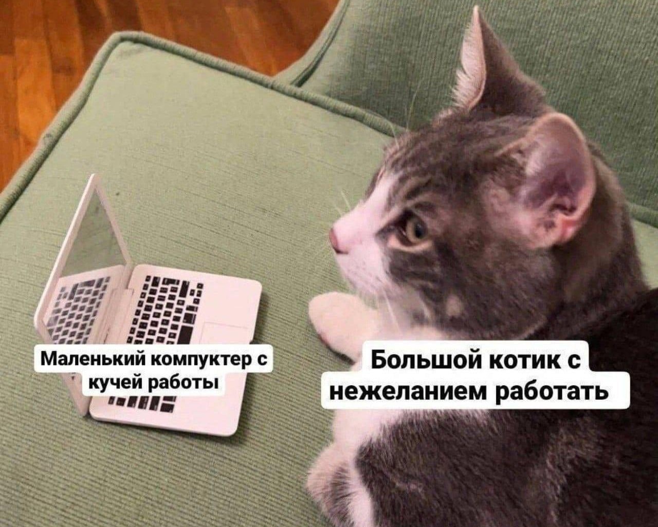 Хи-хи Ха-ха в LOOKY — Понедельник настал! 😩 #Понедельник #НачалоНедели #юмор [#lo