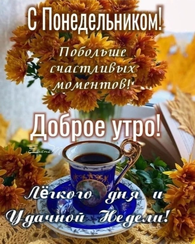 Looky_1670341578322 в LOOKY — публикация