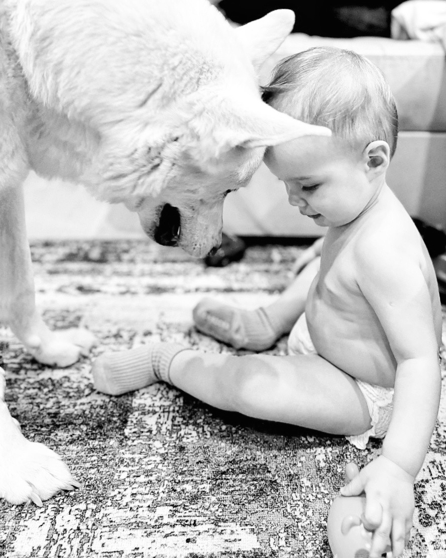Mar.Vil_foto в LOOKY — Всё, что нужно знать о любви и доверии... 

#фотография #сем