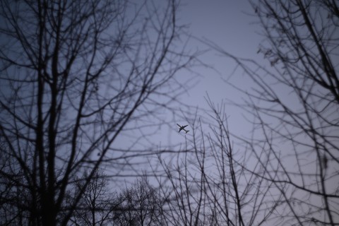Looky_1670401899831 в LOOKY. . 