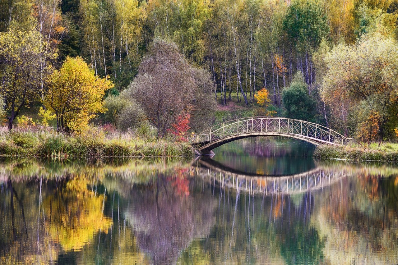poboruev_landscape in LOOKY