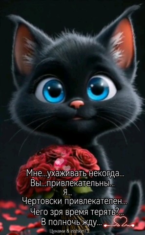 Ирина в LOOKY. #irishkin73,#myValentine,#14февраля,#поэт,#стихи,#автор,#авторскиестихи,#москва,#рифма,#стихиназаказ,#праздник,#валентинка,#любовь,#шутка,#юмор. Увидела поздравитель...