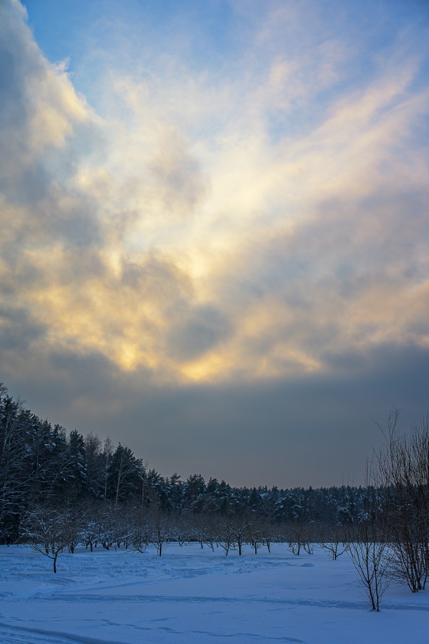 poboruev_landscape in LOOKY