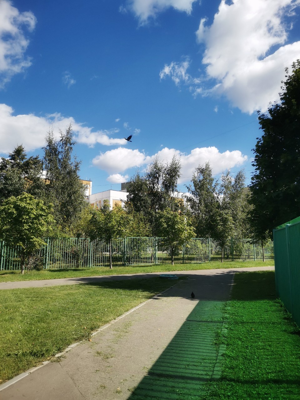 ✨ Лето в городе

#фото #лето #август #город #небо [#голубь ](голубь)#пейзаж #photo #summer #august #nature #bluesky #landscape #looky #looky_Top #looky_official [#looky_топ ](looky_топ)[#looky_контент ](looky_контент)