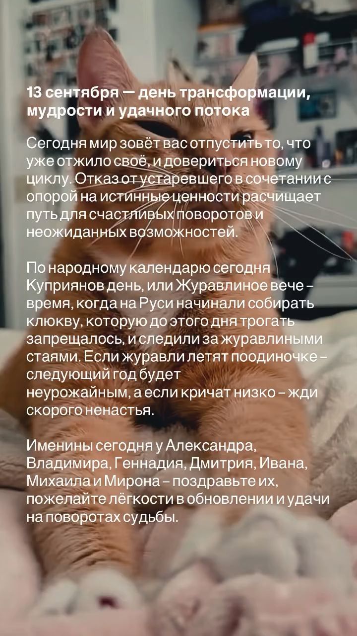 valkarat в LOOKY — публикация