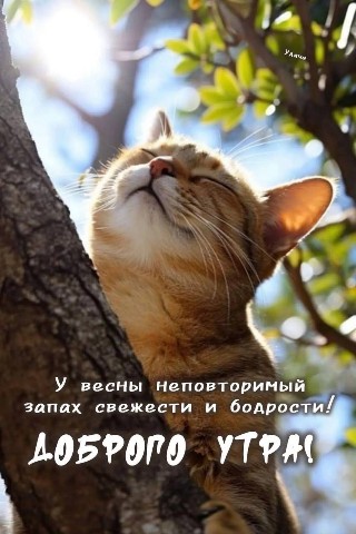 Аля Бик в LOOKY. . 