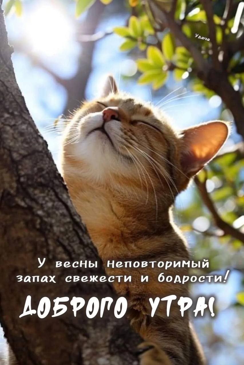 Аля Бик в LOOKY — публикация