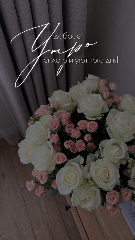natali в LOOKY. . 