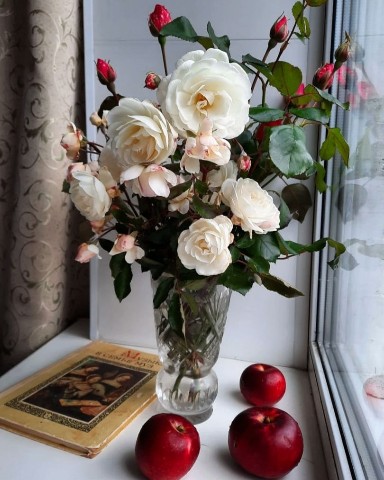 BookloverSasha в LOOKY. #книги,#книгидетства,#книжныймир,#книголюб,#книжноесообщество,#любимыекниги,#букблог,#букблогер,#книжныйчервь. Хочу поделиться моим...