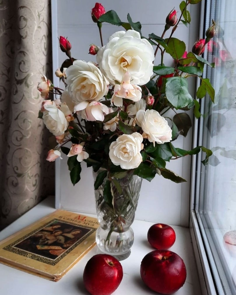 BookloverSasha в LOOKY — Хочу поделиться моими любимыми книгами детства:

💗Книги о Д