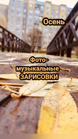 Светлана Сироткина в LOOKY. . КАКОЙ СЕГОДНЯ БЫЛ ДЕ...