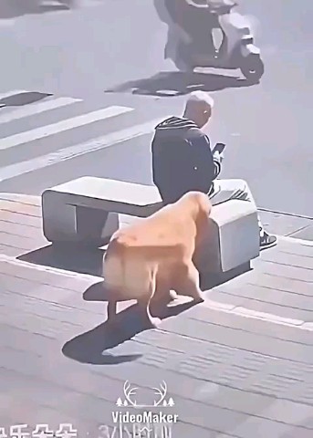 Игорь в LOOKY — публикация