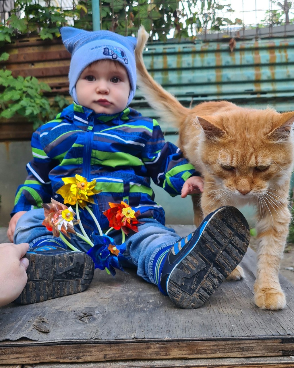 fevralskaya_d_s в LOOKY — Так.. Так... Что это? Новый инстаграм? Нейросеть? Кто тут да