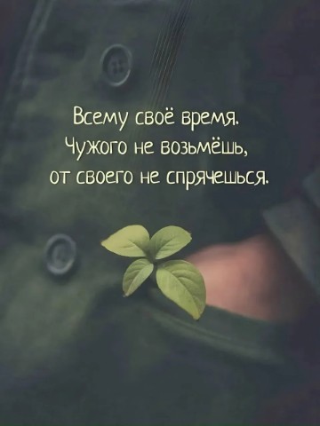 ElenaTianDe в LOOKY. . Своё обязательно най...