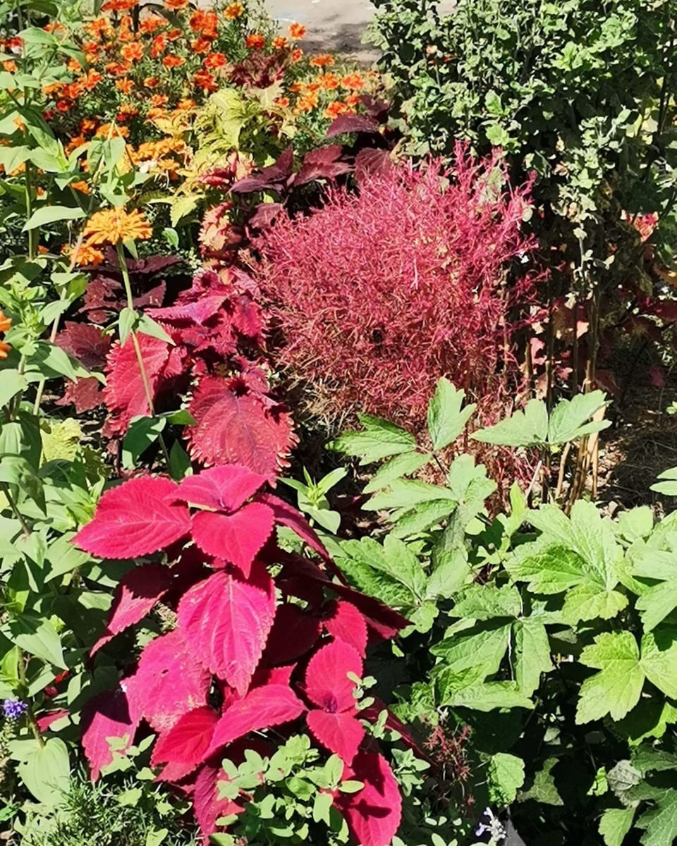  в LOOKY — публикация