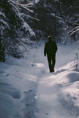 Рисовое поле в LOOKY. . Онегин [#пушкин ](пу...