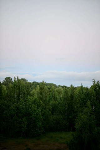 Hope_ в LOOKY. . [#деньсемьилюбвиивер...