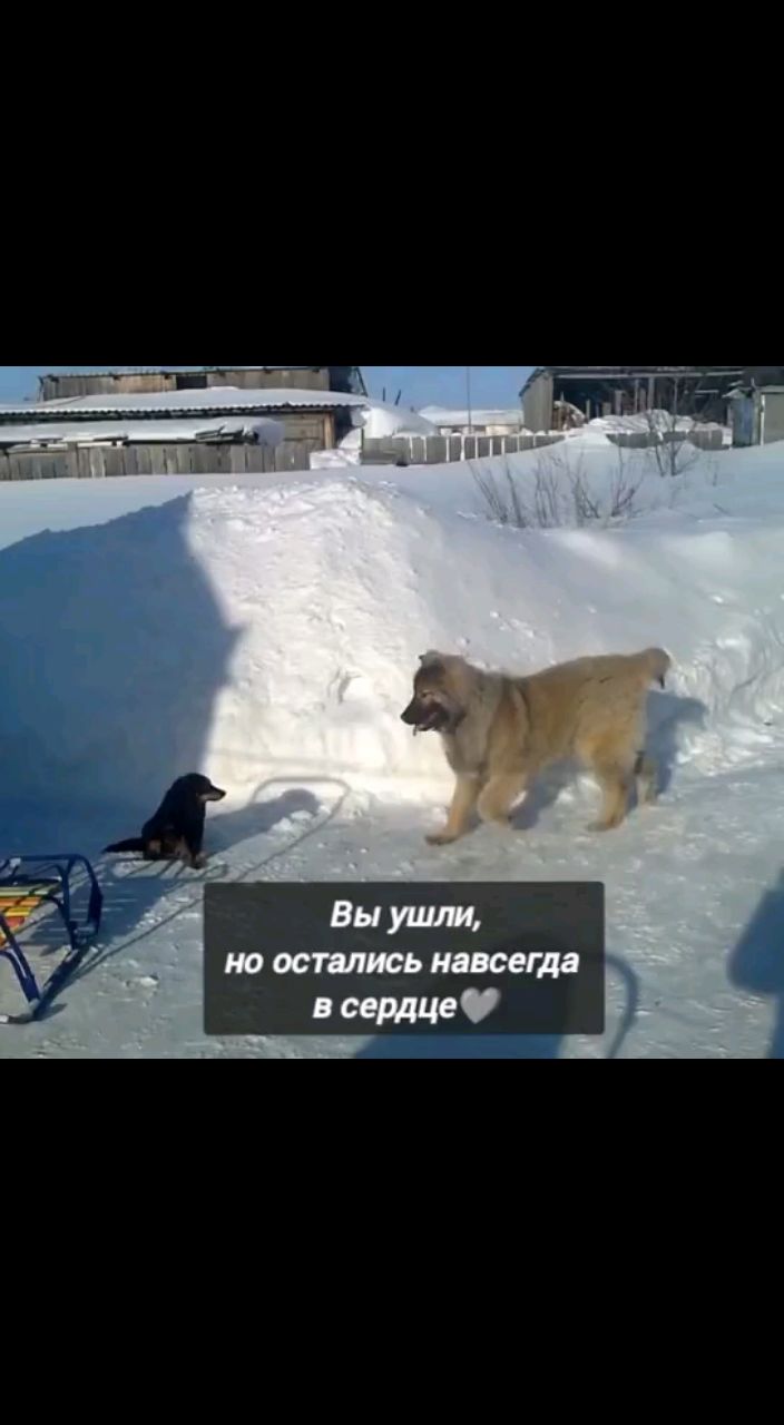 22vetrova22 в LOOKY. . 