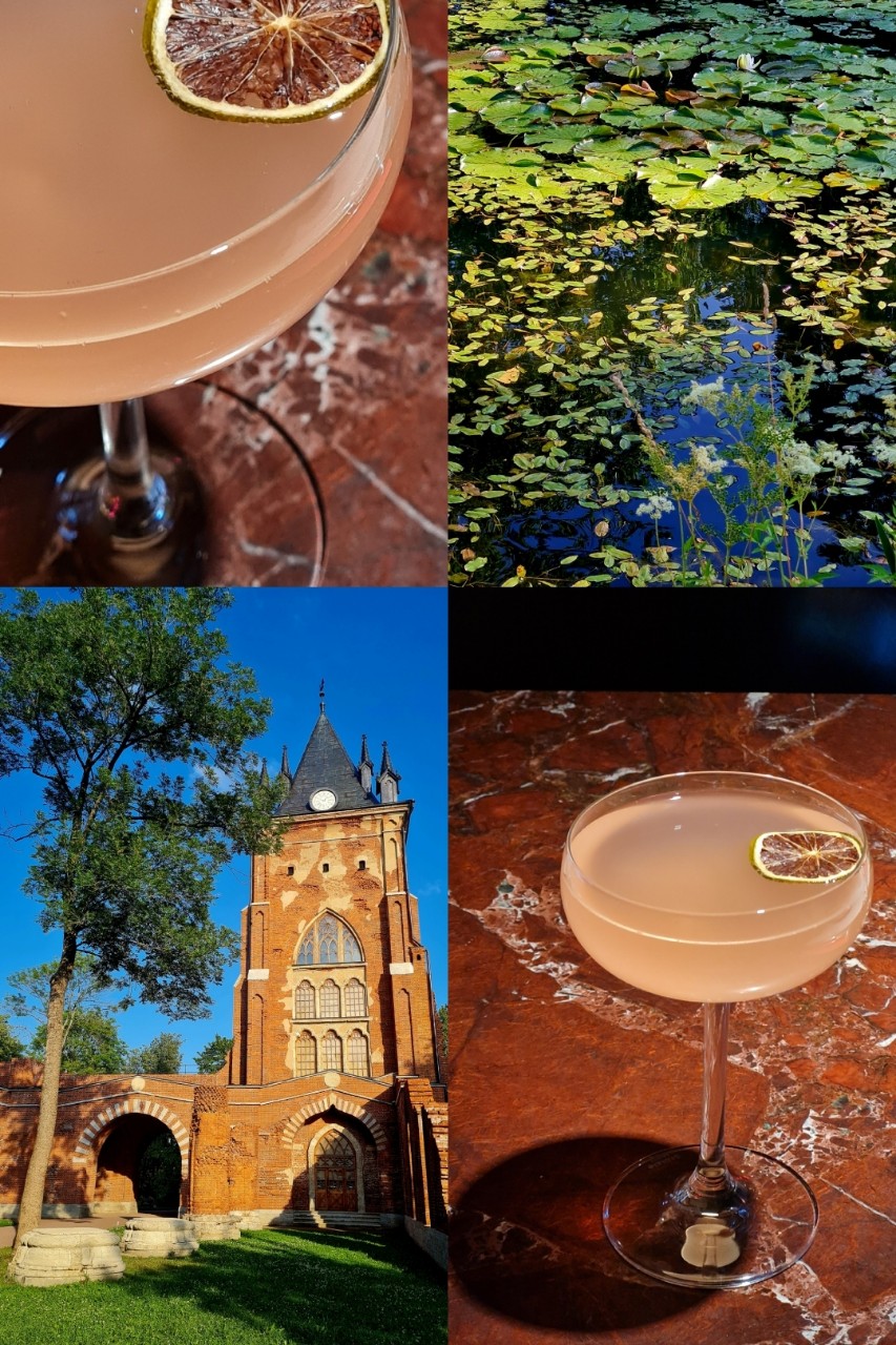 #коктейль #архитектура #пруд #кувшинки #водные_лилии #парк