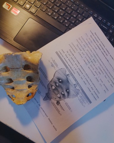 Рустам в LOOKY. . Учу анатомию 
[#знан...